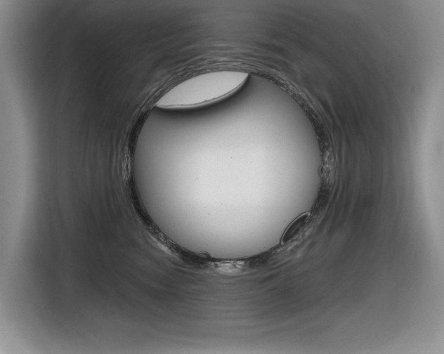 X0000116630474200912111004
