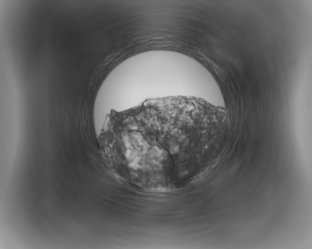 X0000116630475200912111004