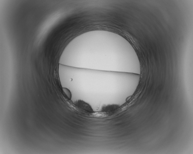 X0000116630477200912111004