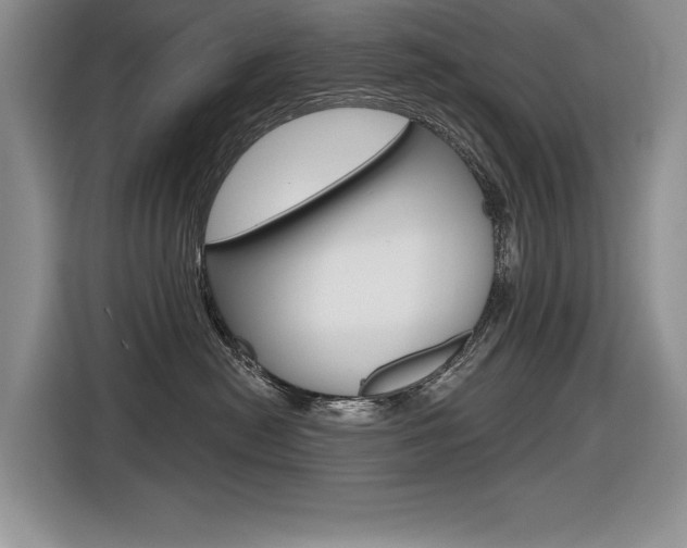 X0000116630478200912111004