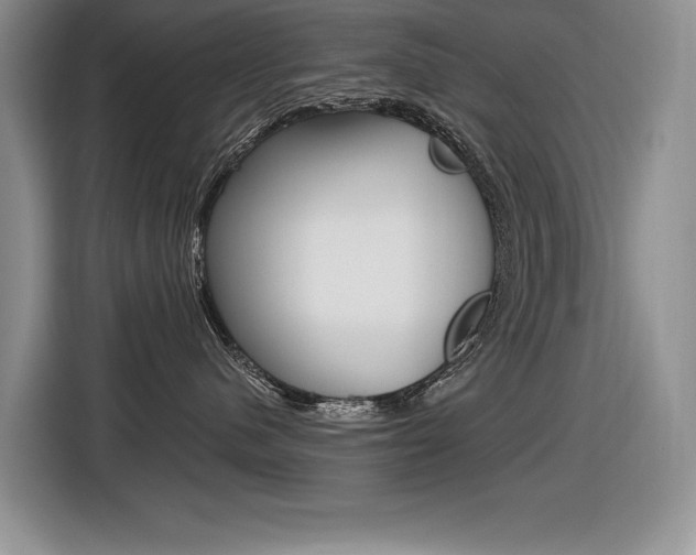 X0000116630480200912111004
