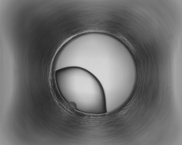 X0000116630484200912111004
