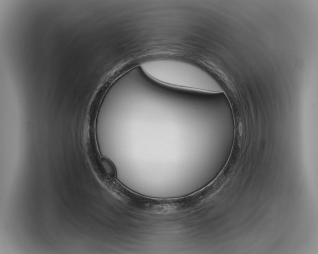 X0000116630492200912111004