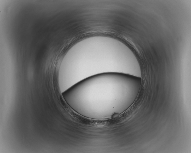 X0000116630495200912111004