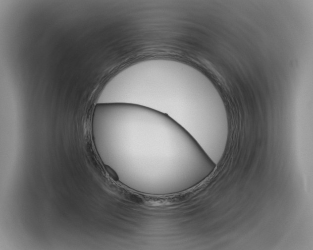 X0000116630500200912111003