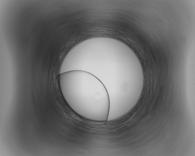 X0000116630504200912111003