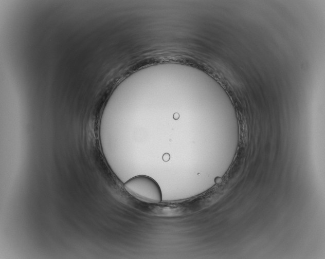 X0000116630506200912111003