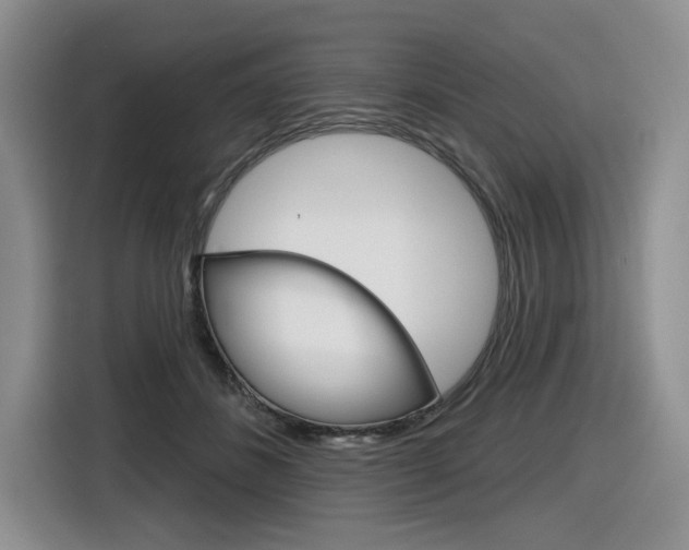 X0000116630508200912111003