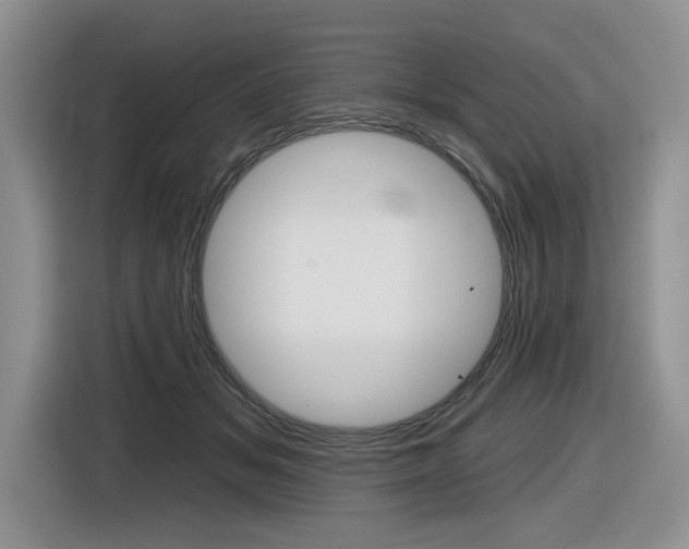 X0000116630509200912111003