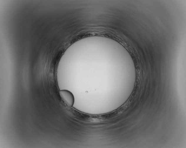 X0000116630510200912111003