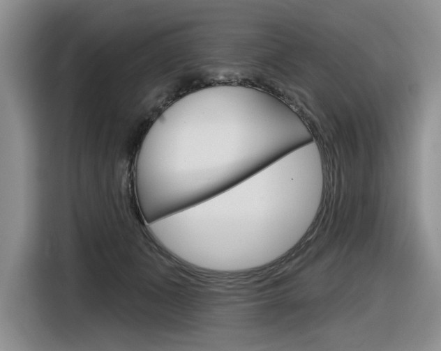 X0000116630511200912111003
