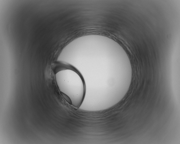 X0000116630512200912111003