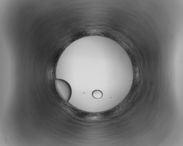 X0000116630514200912111003