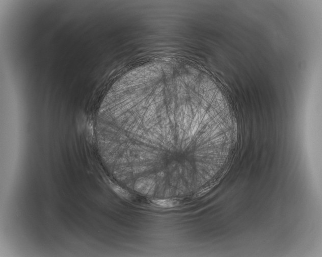 X0000116630522200912111003