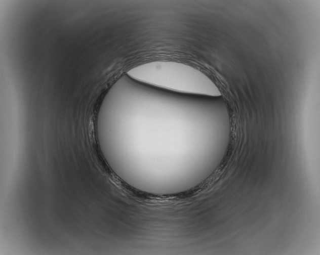 X0000116630523200912111003