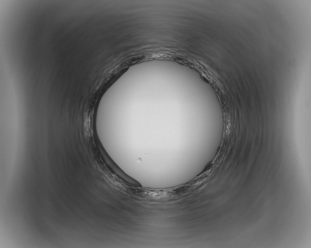 X0000116630524200912111003