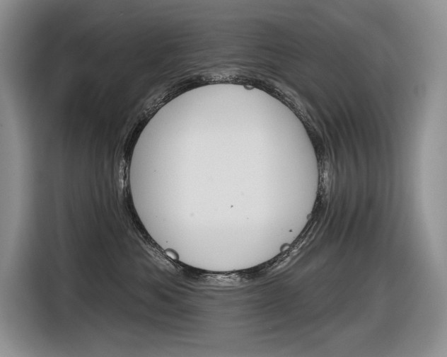X0000116630525200912111003