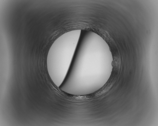 X0000116630527200912111003