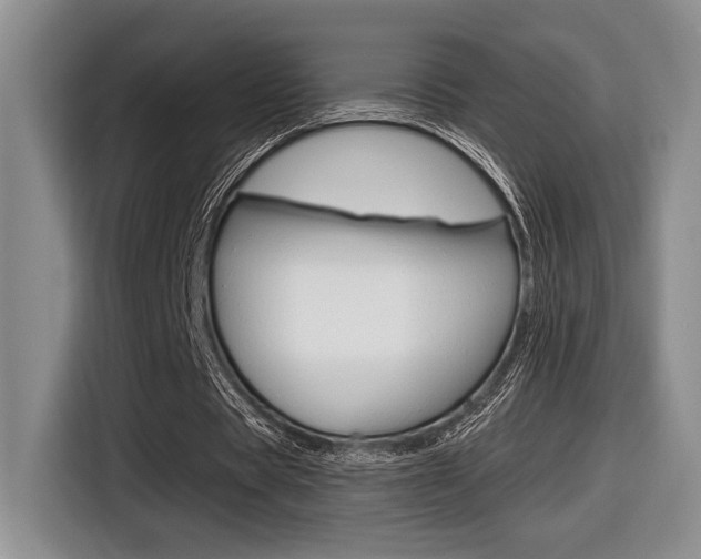 X0000116630529200912111002