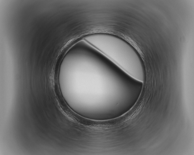 X0000116630530200912111003