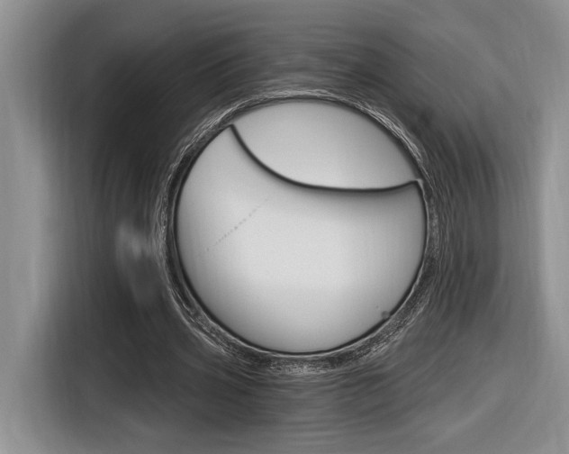 X0000116630533200912111003