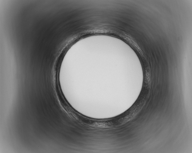 X0000116630534200912111003