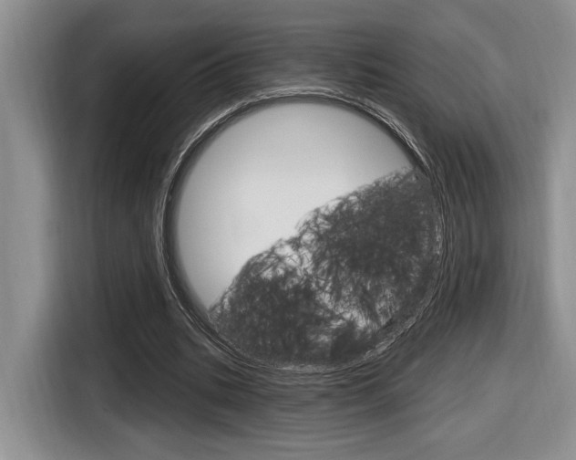 X0000116630535200912111003