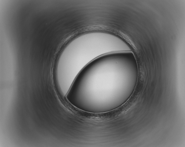 X0000116630538200912111003