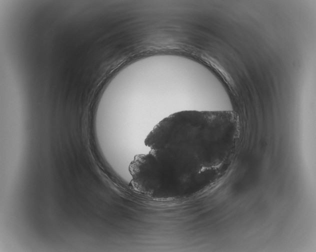 X0000116630541200912111003