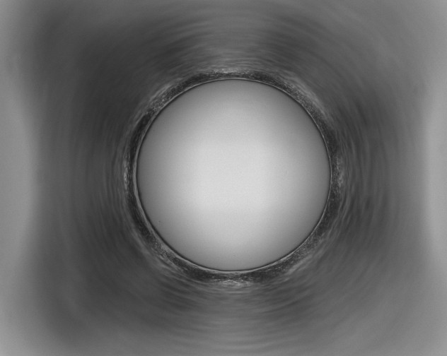 X0000116630542200912111003
