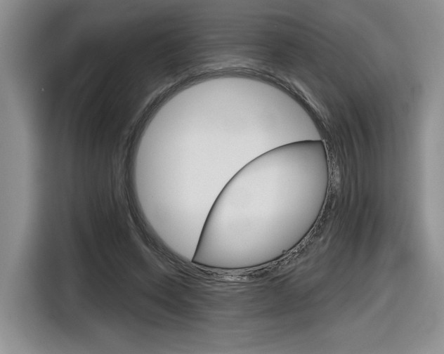 X0000116630543200912111003