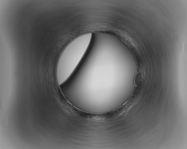X0000116630546200912111003