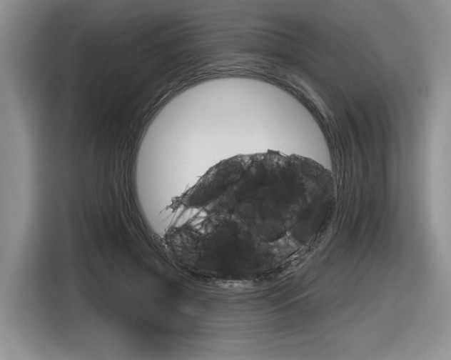 X0000116630549200912111003