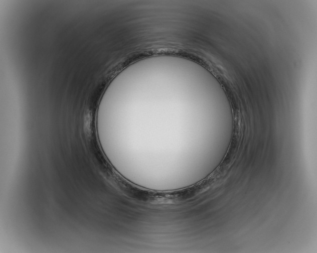 X0000116630550200912111003