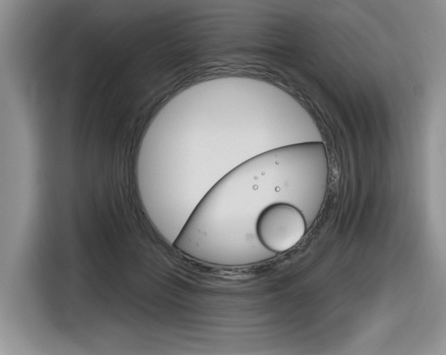 X0000116630555200912111003