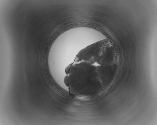 X0000116630557200912111003