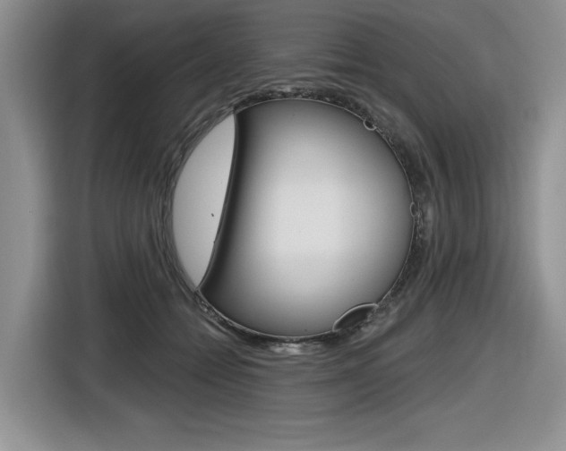 X0000116630558200912111003