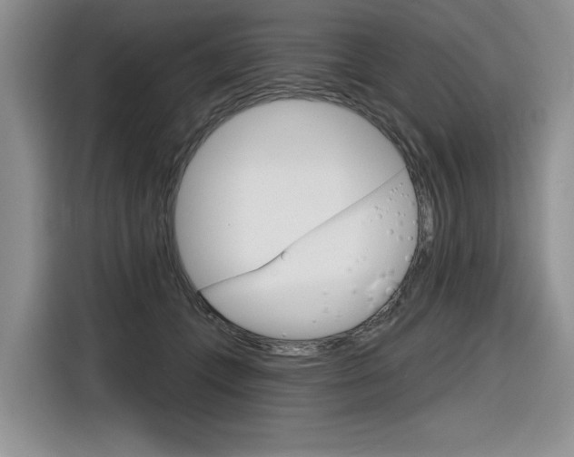 X0000116630559200912111003