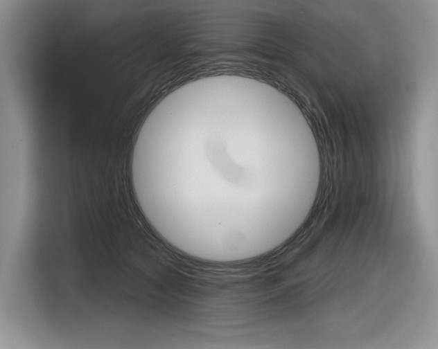 X0000116630561200912111003
