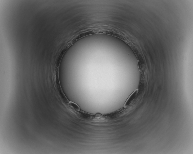 X0000116630562200912111003