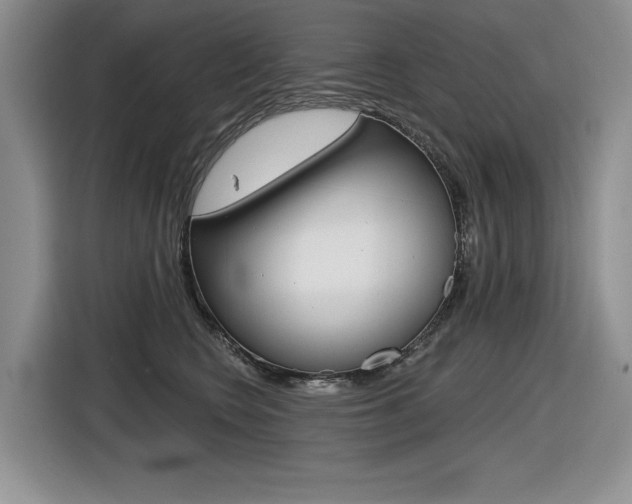 X0000116630566200912111003