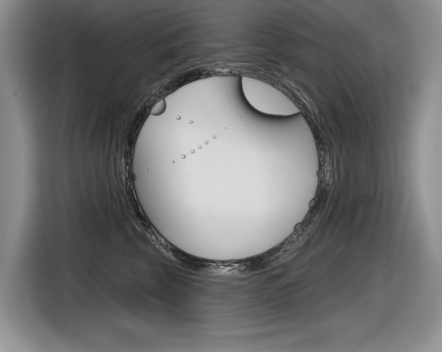 X0000116630569200912111003