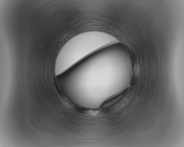 X0000116630570200912111003