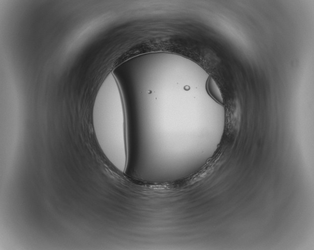 X0000116630574200912111003