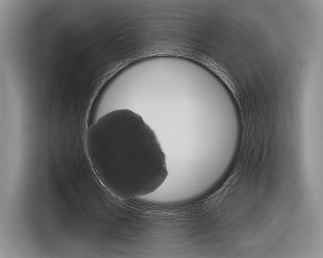 X0000116630578200912111002