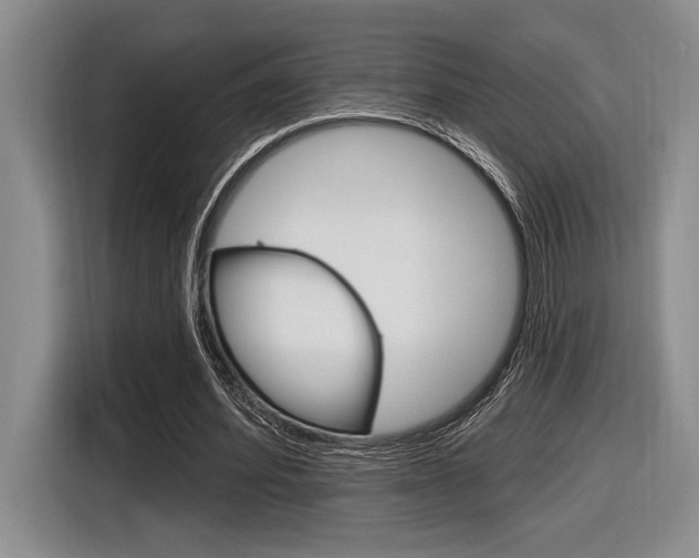 X0000116630580200912111002