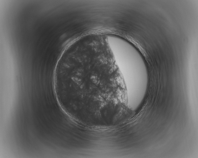 X0000116630582200912111002
