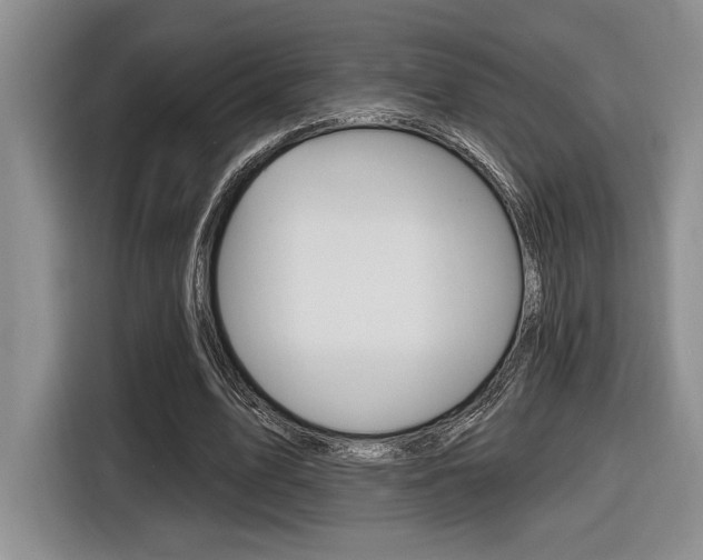 X0000116630583200912111002