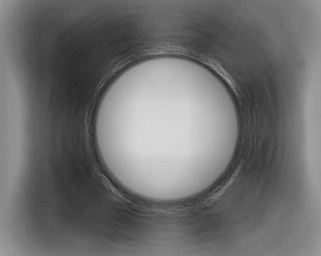 X0000116630585200912111002