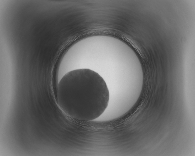X0000116630586200912111002